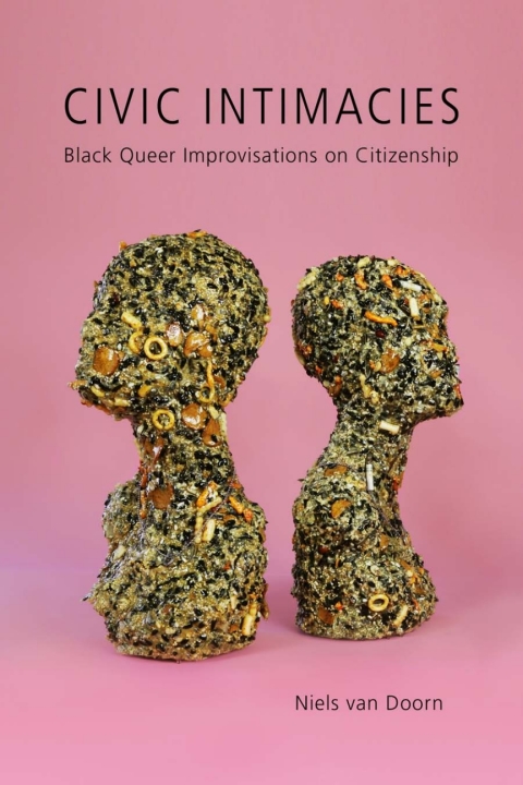 Cover image for book Civic Intimacies