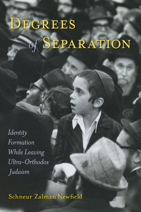 Cover image for book Degrees of Separation