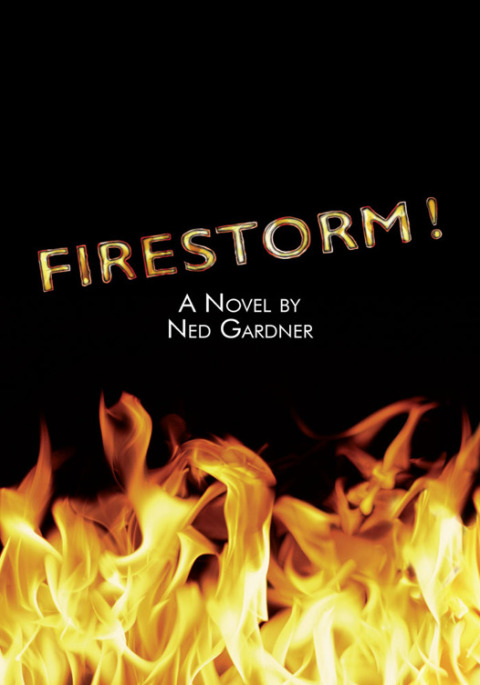 Cover image for book Firestorm!