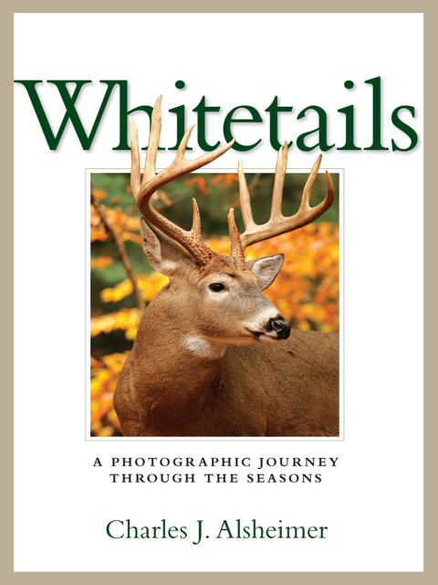 Cover image for book Whitetails