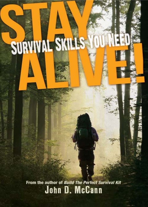 Cover image for book Stay Alive!