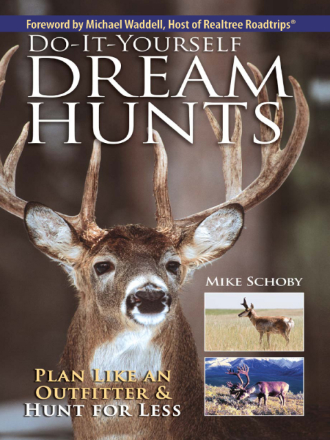Cover image for book Do-It-Yourself Dream Hunts