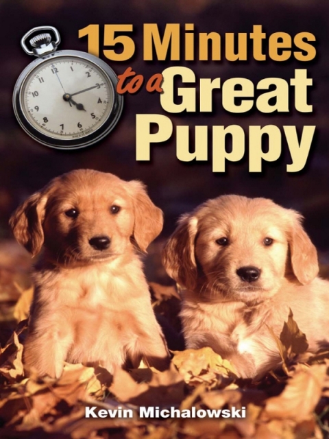 Cover image for book 15 Minutes to a Great Puppy