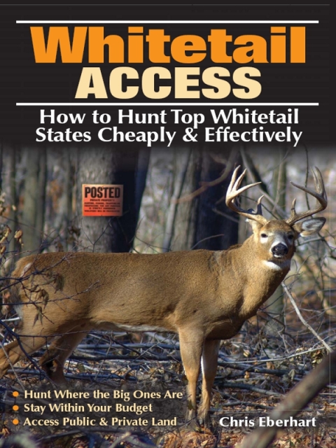 Cover image for book Whitetail Access