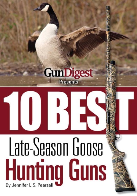 Cover image for book Gun Digest Presents 10 Best Late-Season Goose Guns