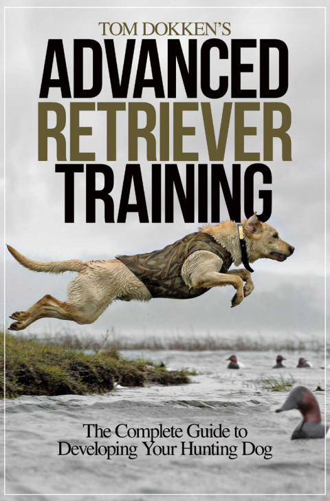 Cover image for book Tom Dokken's Advanced Retriever Training