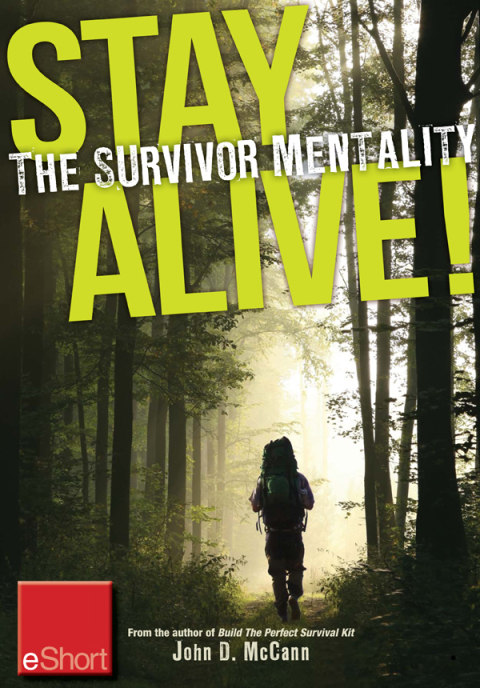 Cover image for book Stay Alive - The Survivor Mentality eShort