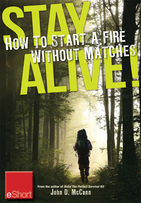 Cover image for book Stay Alive - How to Start a Fire without Matches eShort