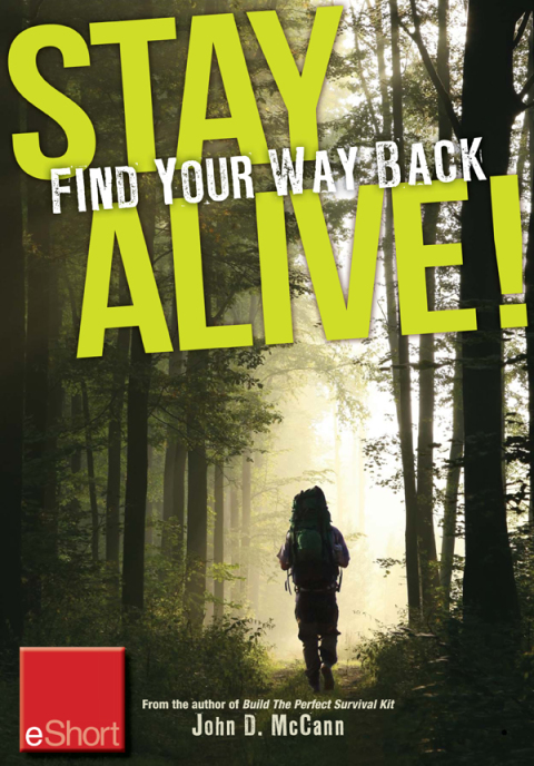 Cover image for book Stay Alive - Find Your Way Back eShort