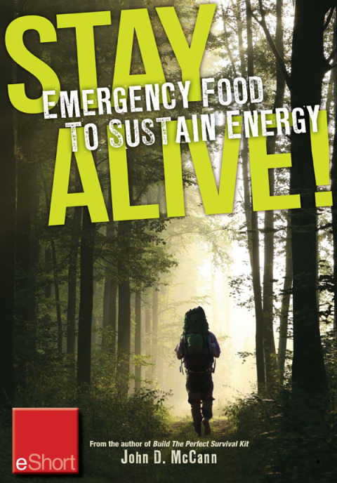Cover image for book Stay Alive - Emergency Food to Sustain Energy eShort