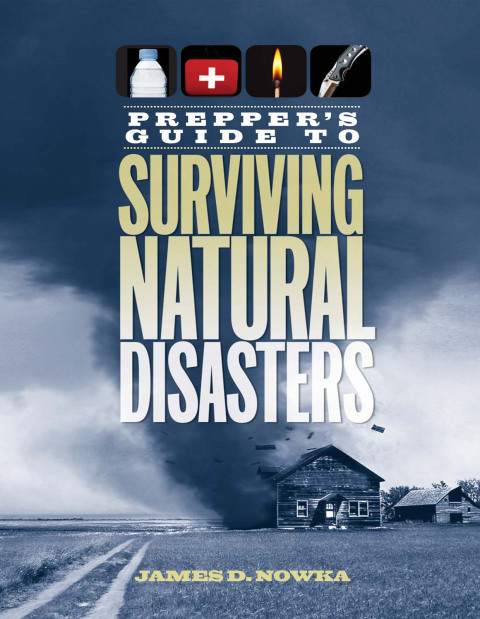 Cover image for book Prepper's Guide to Surviving Natural Disasters