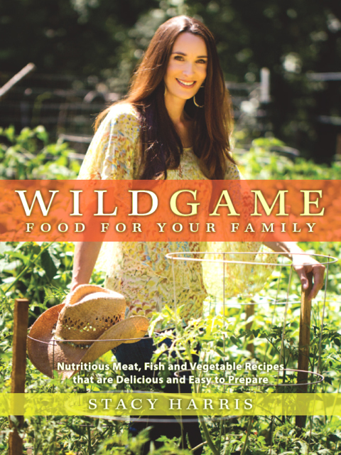 Cover image for book Wild Game Food for Your Family