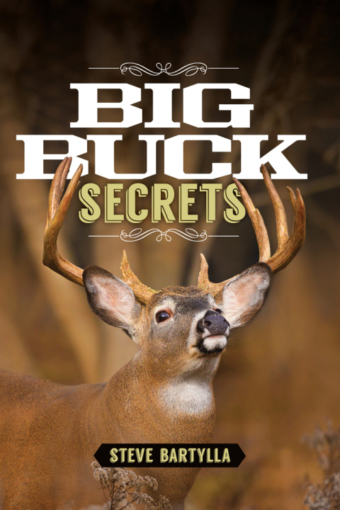 Cover image for book Big Buck Secrets