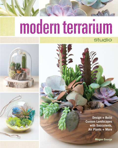 Cover image for book Modern Terrarium Studio