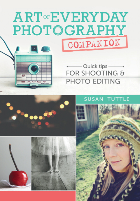 Cover image for book Art of Everyday Photography Companion