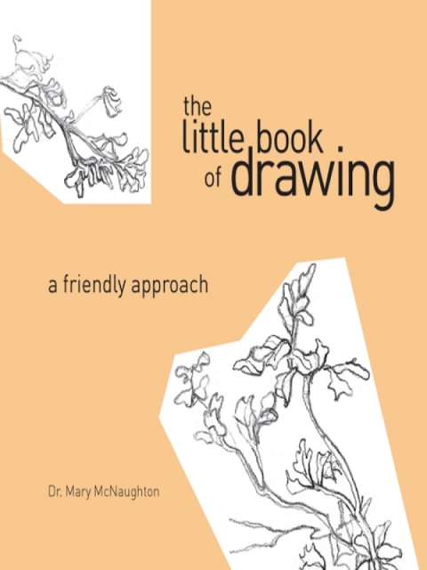 Cover image for book The Little Book of Drawing