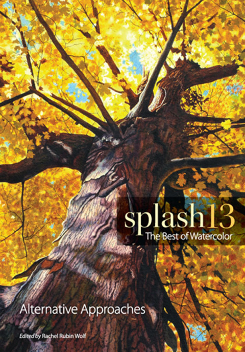 Cover image for book Splash 13