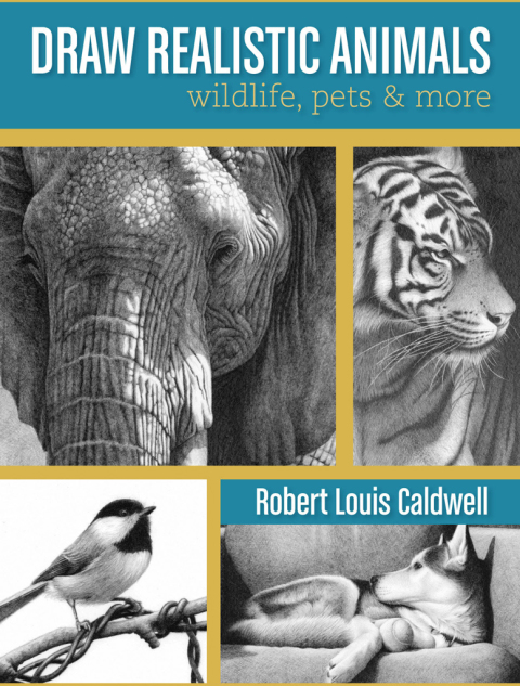 Cover image for book Draw Realistic Animals