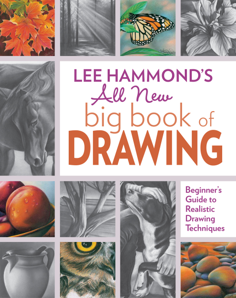 Cover image for book Lee Hammond's All New Big Book of Drawing