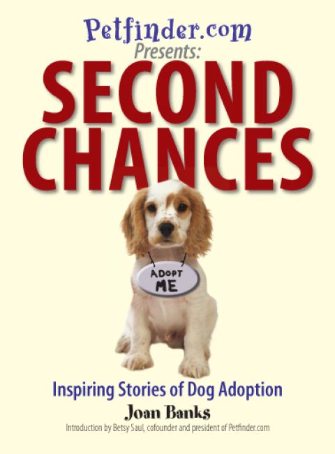 Cover image for book Second Chances