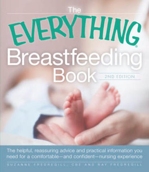 Cover image for book The Everything Breastfeeding Book
