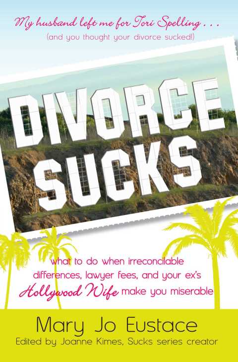 Cover image for book Divorce Sucks