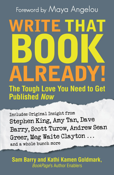 Cover image for book Write That Book Already!
