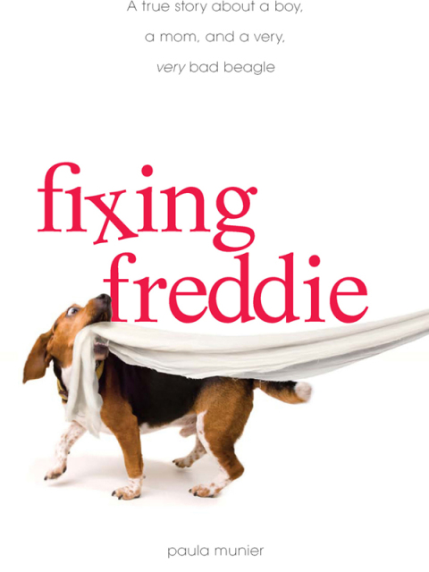 Cover image for book Fixing Freddie