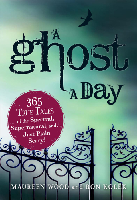 Cover image for book A Ghost a Day