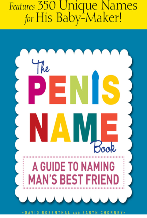 Cover image for book The Penis Name Book
