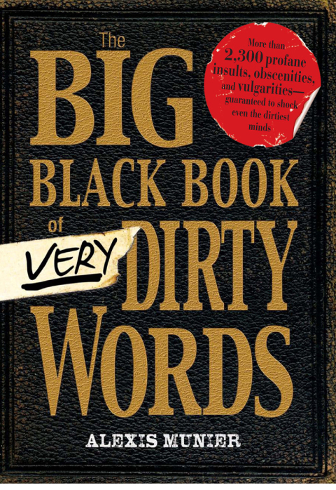 Cover image for book The Big Black Book of Very Dirty Words