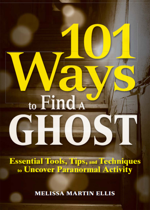 Cover image for book 101 Ways to Find a Ghost