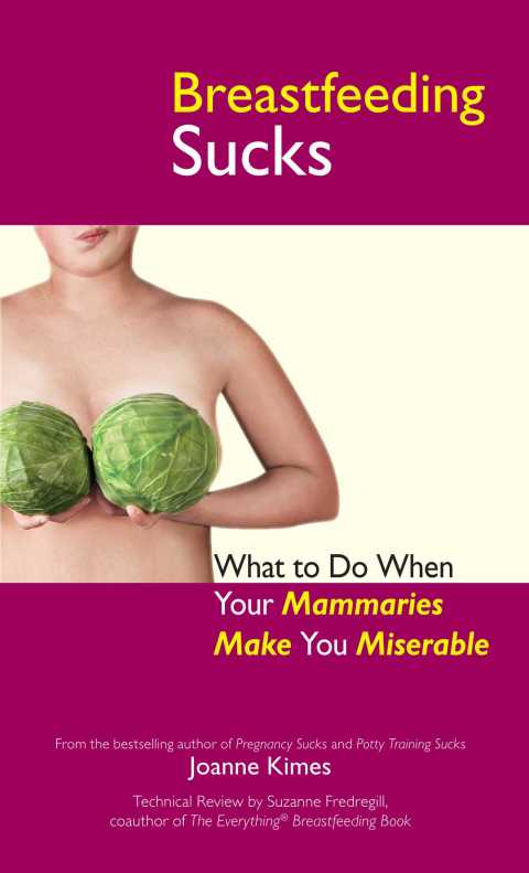 Cover image for book Breastfeeding Sucks