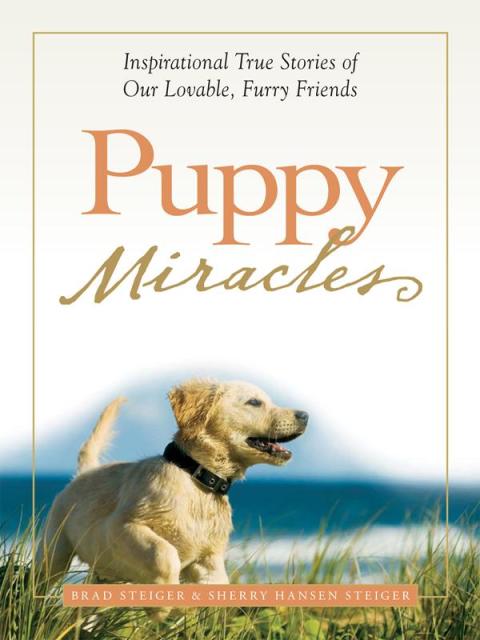 Cover image for book Puppy Miracles