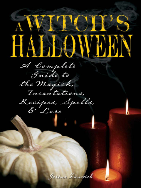 Cover image for book Witch's Halloween