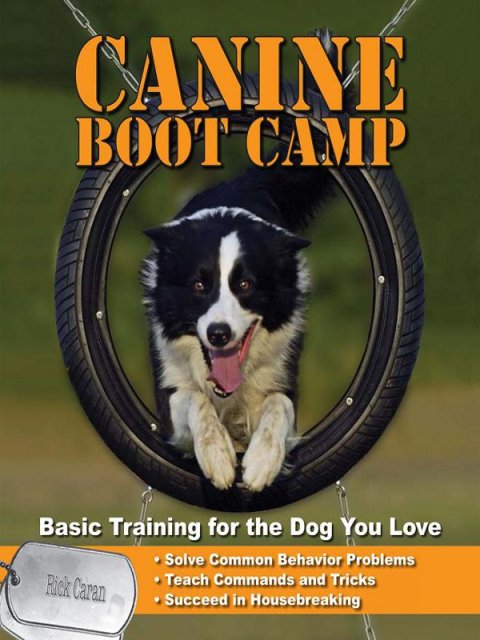 Cover image for book Canine Bootcamp