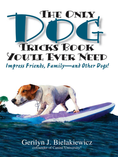 Cover image for book The Only Dog Tricks Book You'll Ever Need