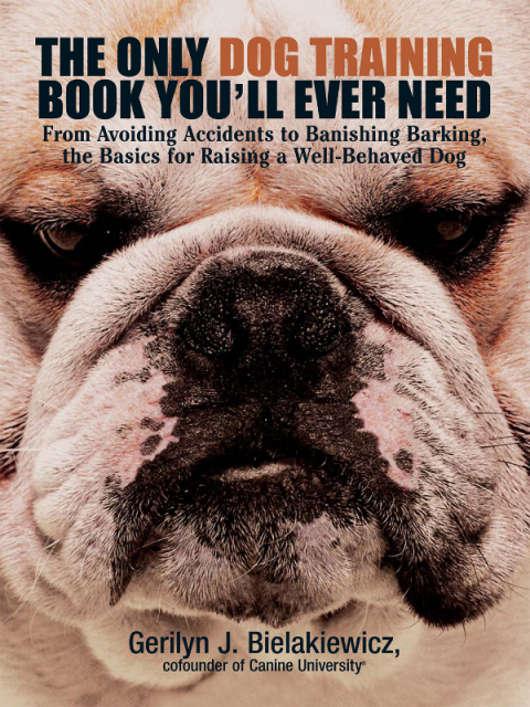 Cover image for book The Only Dog Training Book You'll Ever Need