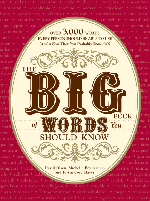 Cover image for book The Big Book of Words You Should Know