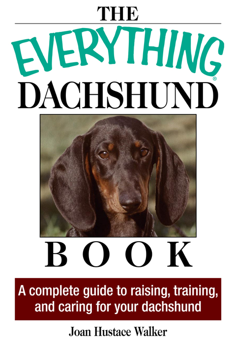 Cover image for book The Everything Daschund Book