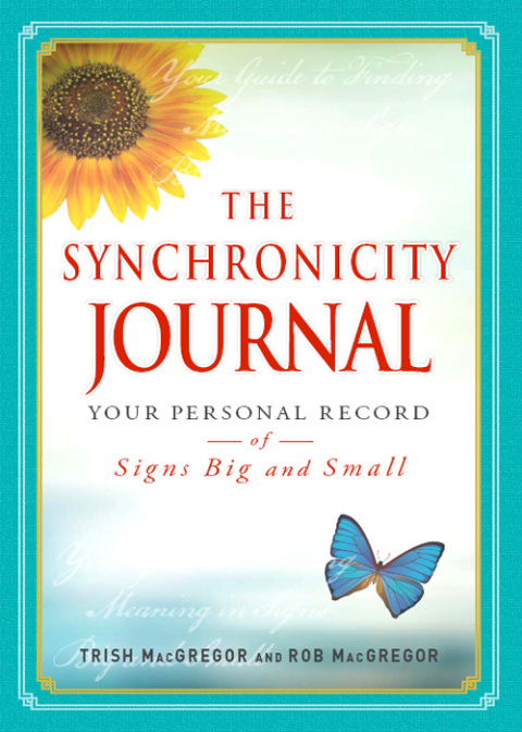 Cover image for book The Synchronicity Journal