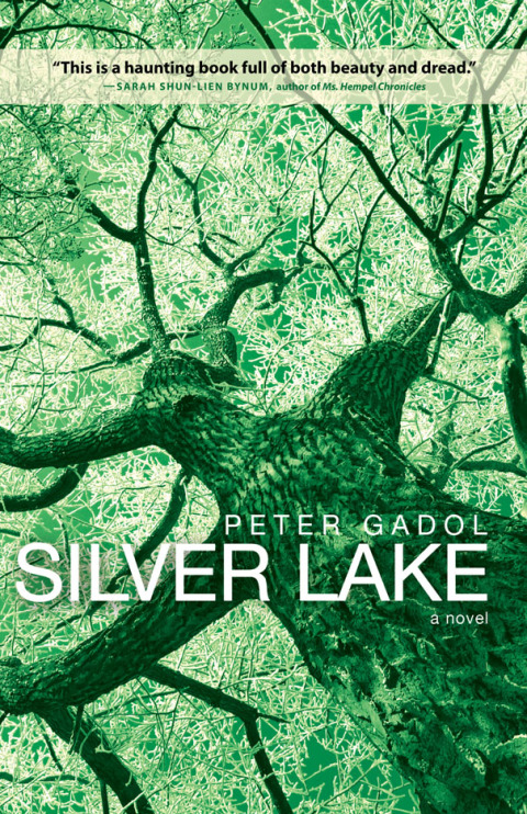 Cover image for book Silver Lake