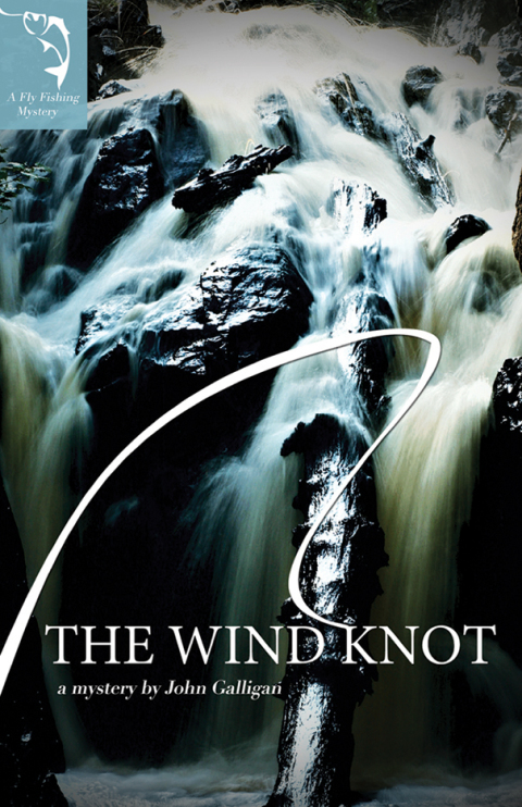 Cover image for book The Wind Knot