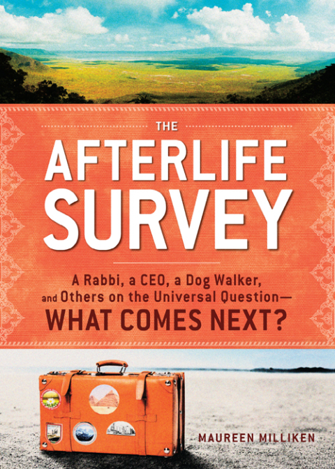 Cover image for book The Afterlife Survey