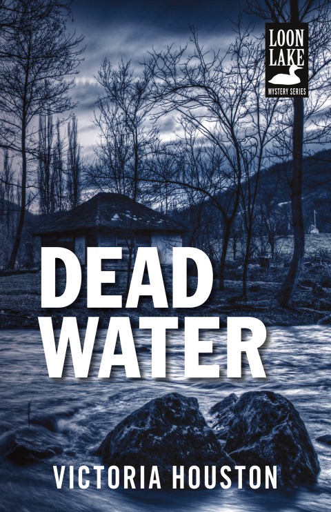 Cover image for book Dead Water