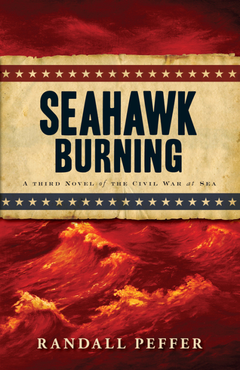 Cover image for book Seahawk Burning