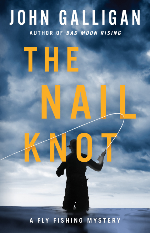 Cover image for book The Nail Knot