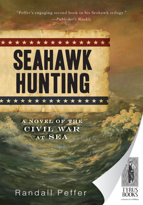 Cover image for book Seahawk Hunting