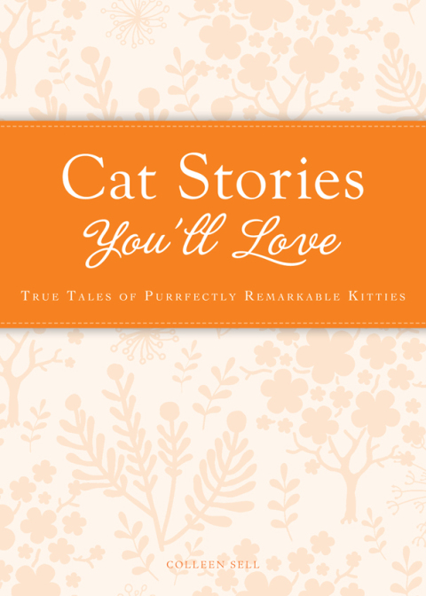 Cover image for book Cat Stories You'll Love