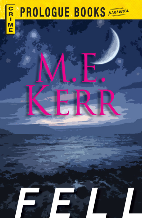 Cover image for book Fell